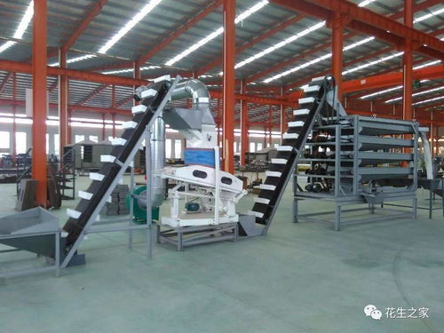 青島楓林花生機械 專業機械設備，驅動產業升級